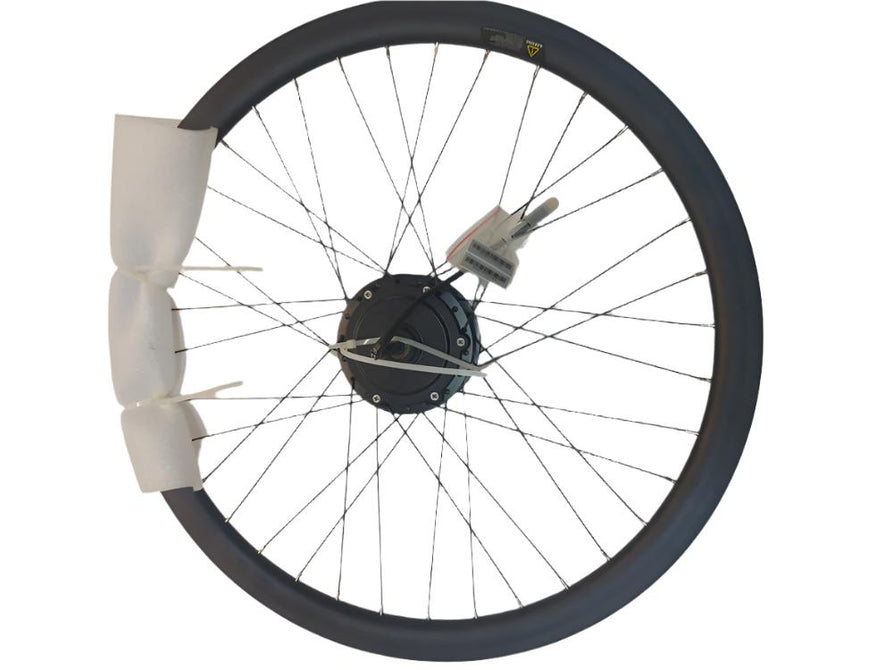 Rear Wheel Motor Assembly For EC1 Advanced (Motor and Rim Only)