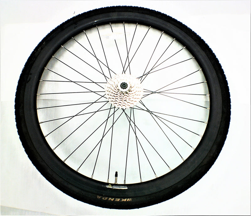 Rear wheel assembly for EC1 Advanced / Pro