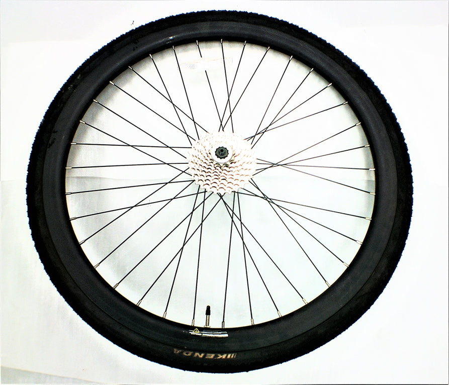 Rear wheel assembly for EC1 Advanced / Pro