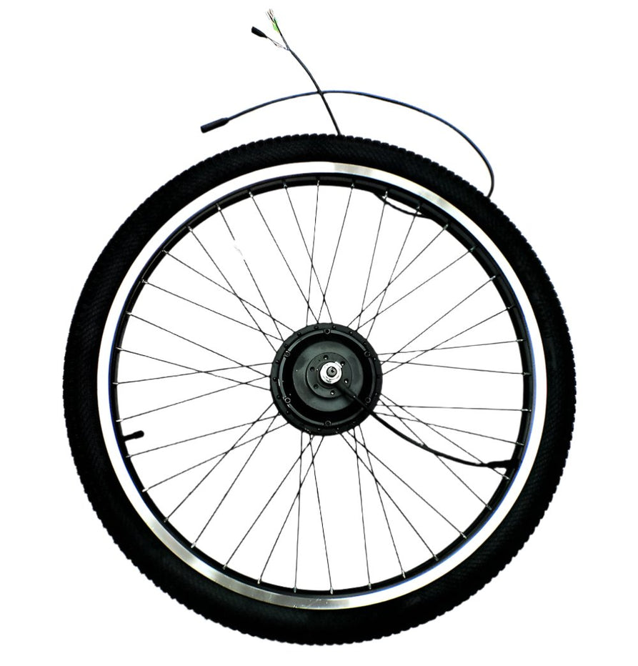 Rear Wheel Motor Assembly For Easy Rider