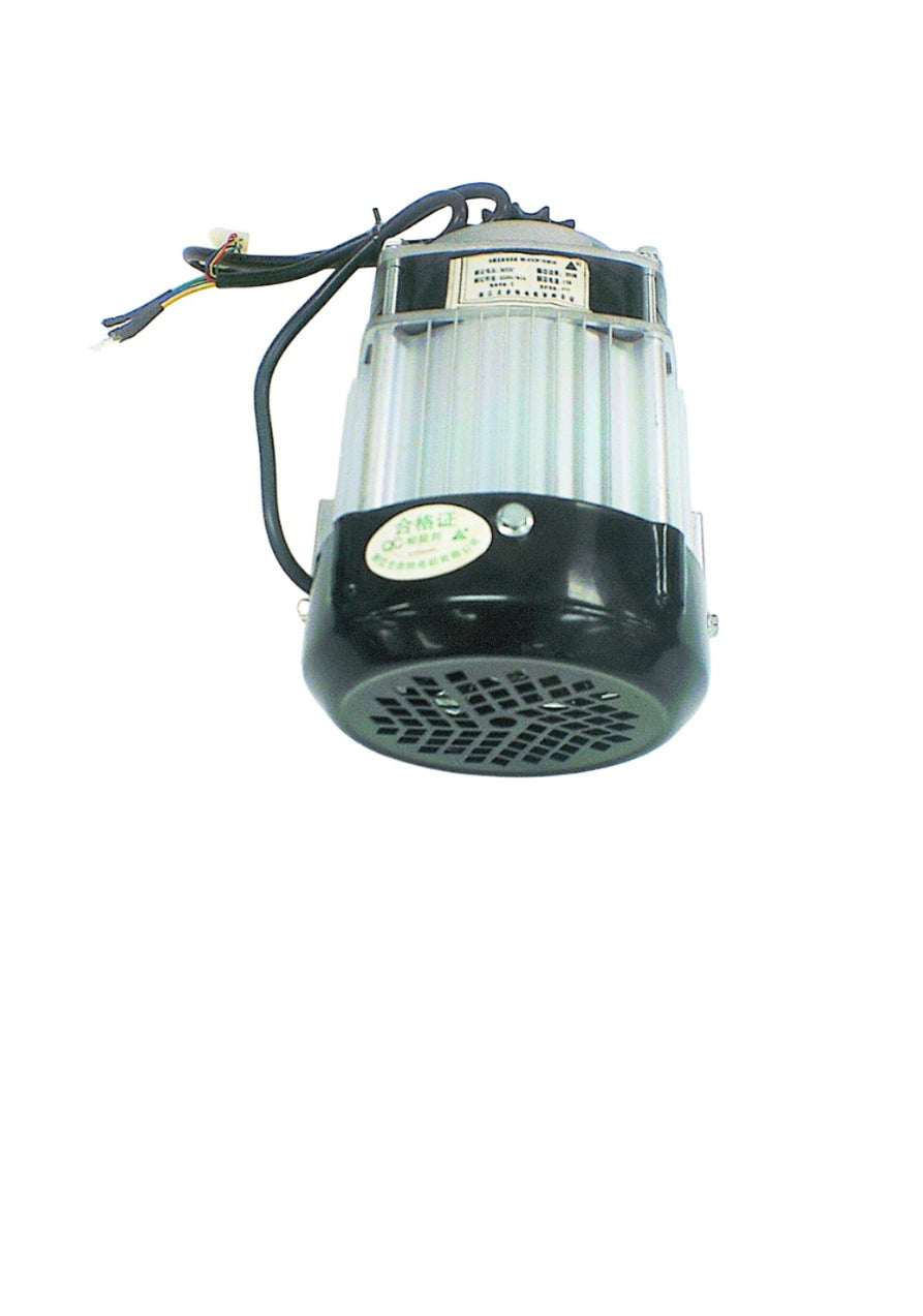 36V 350W brushless motor for Grunt