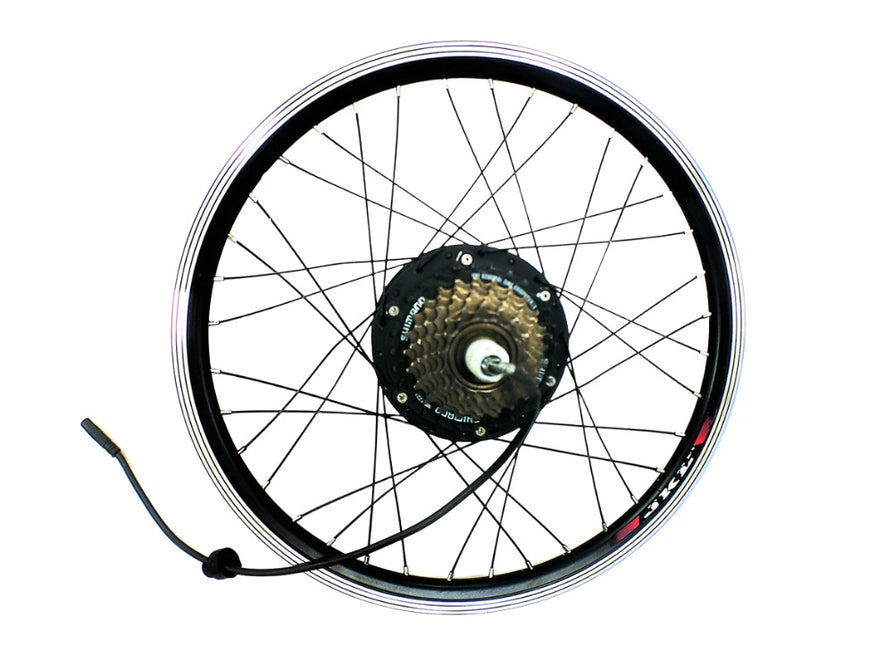 36V 250W brushless motor assembly for New Yorker skinny tire