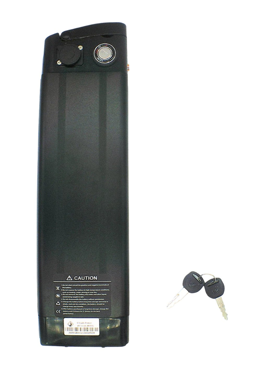 Lithium battery 48v10ah for New Yorker Fat Tire