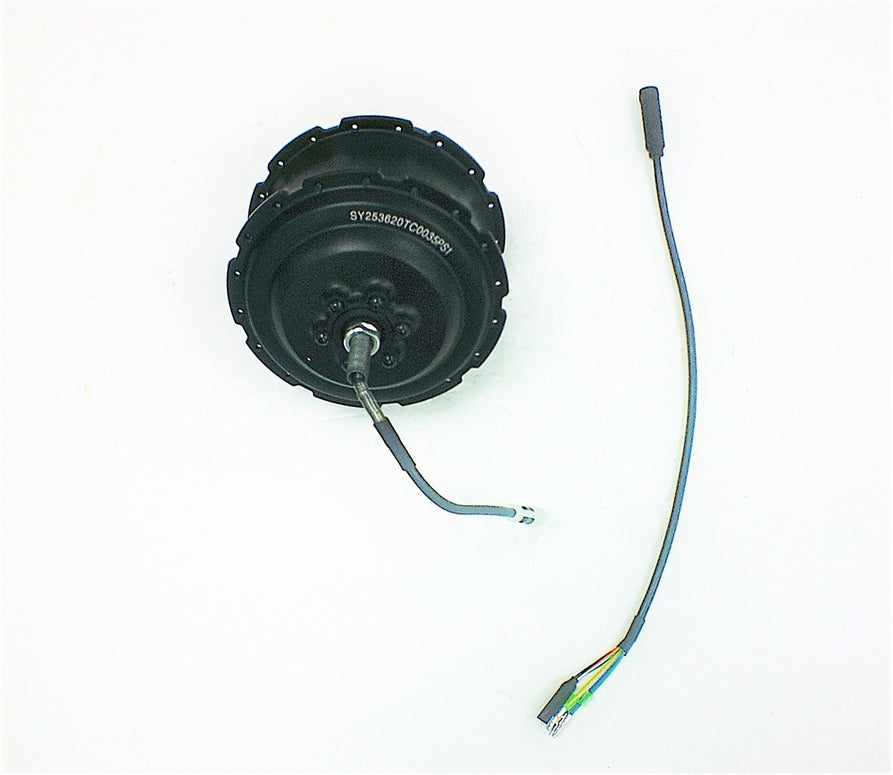 Brushless Motor for New Yorker Fat Tire (36V 500W)