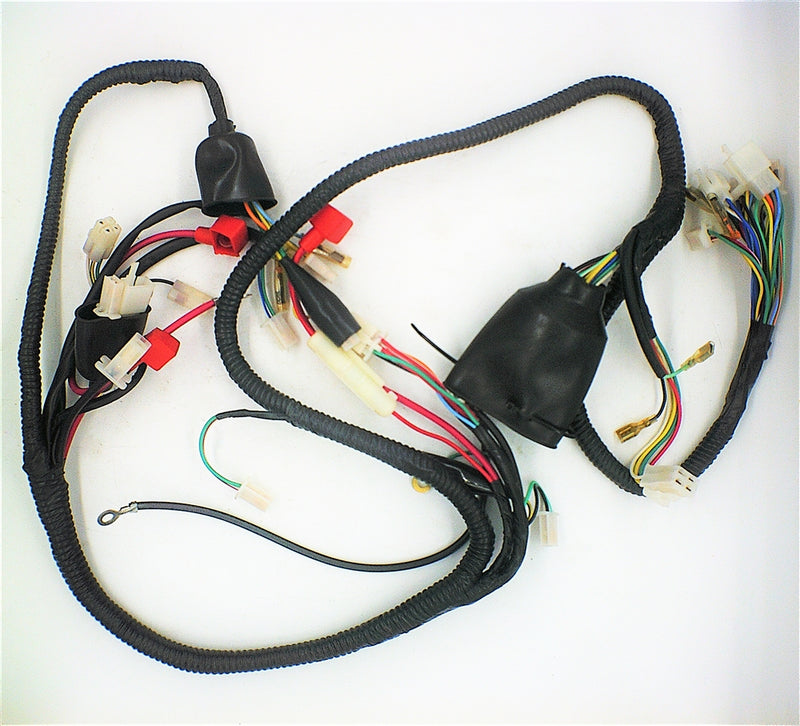 Wiring Harness for Niagara 50cc