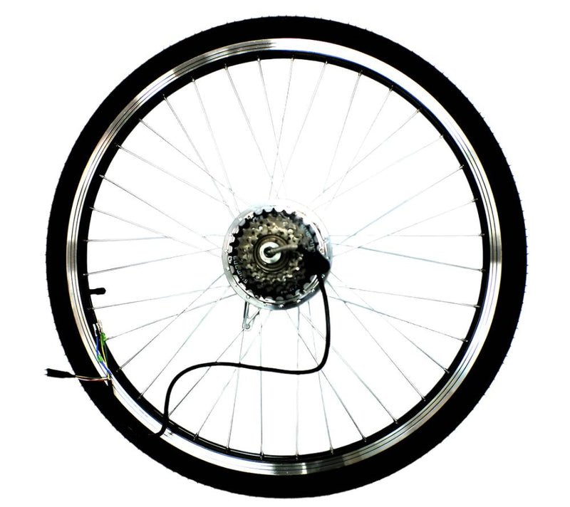 Rear Motor Wheel Assembly 36v250w for Paris (Version 4)