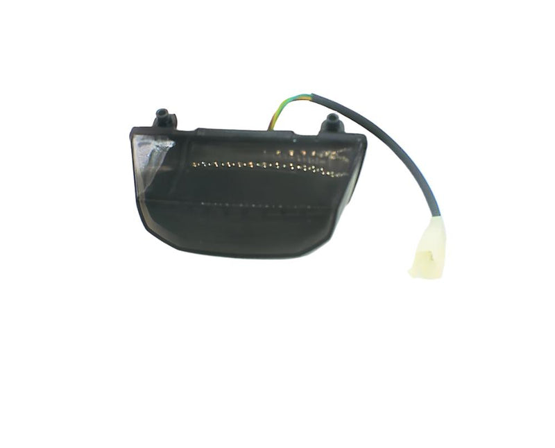 Taillight assembly for Pithog Max