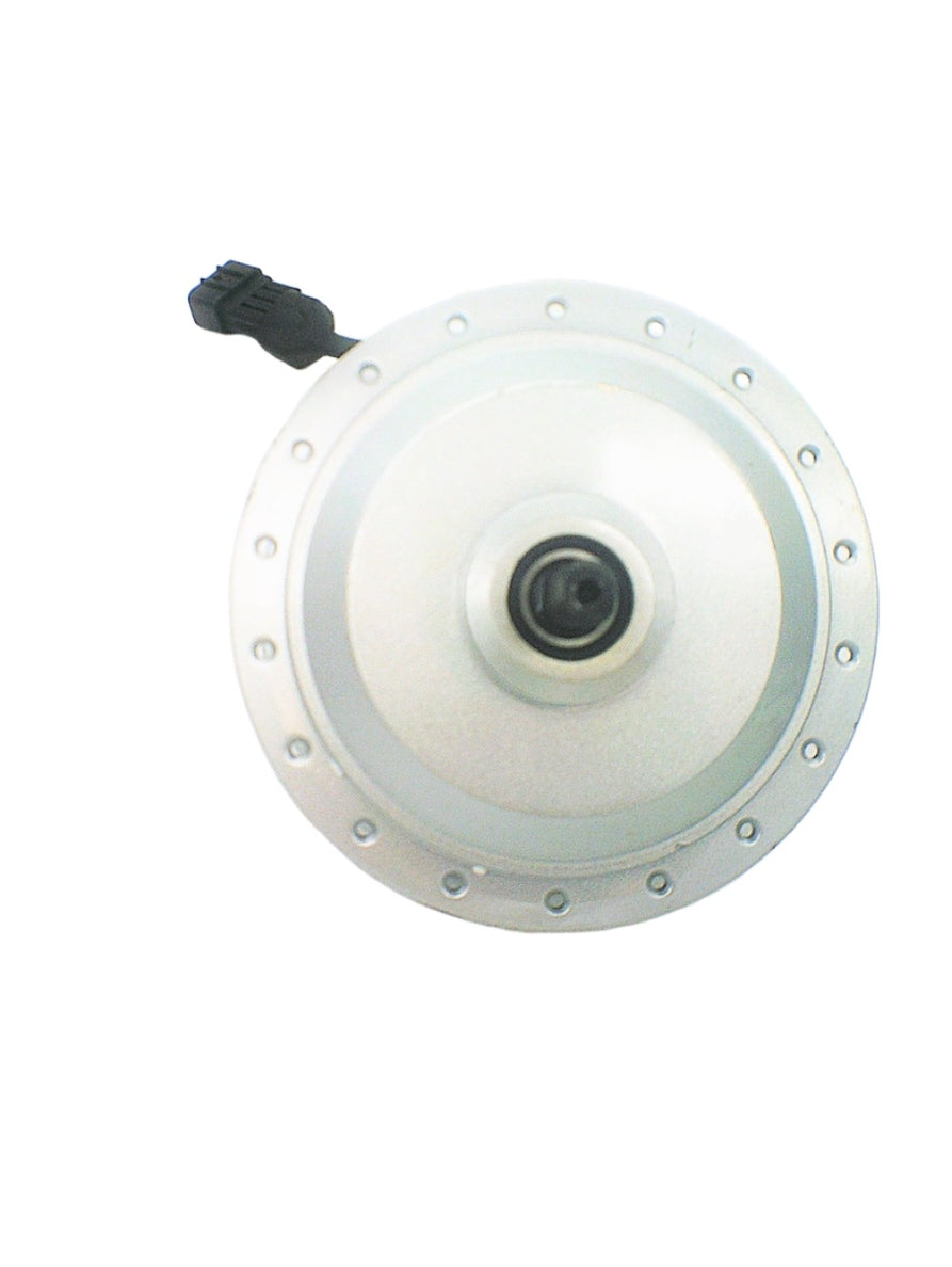 24V 250W brushless motor for Raleigh