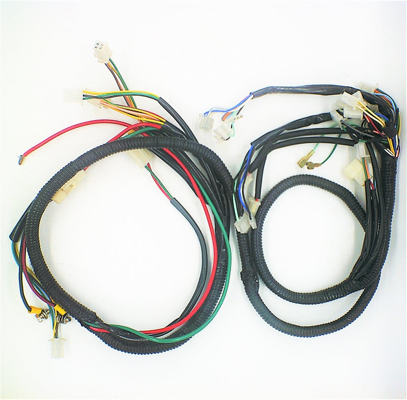 Wiring Harness for Rickshaw - D