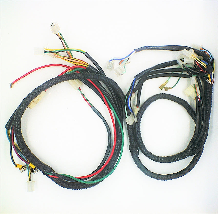 Wiring Harness for Rickshaw - D