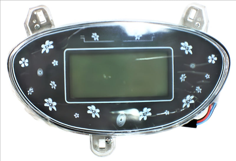 Speedometer for Rome