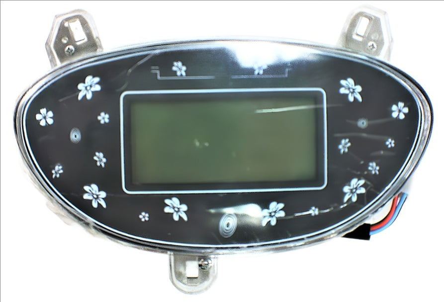 Speedometer for Rome