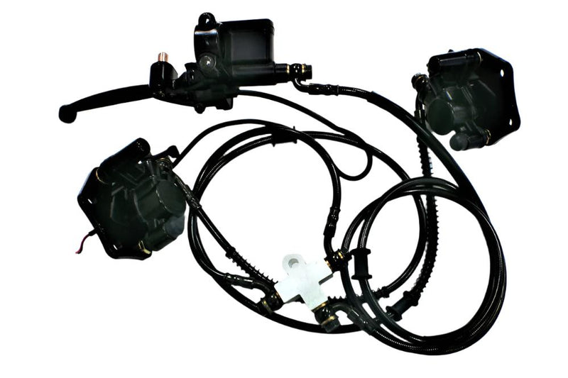 Roadstar 4-Wheeler Rear Brake Assembly