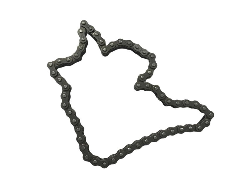 Chain For Sasquatch Jr. (old)