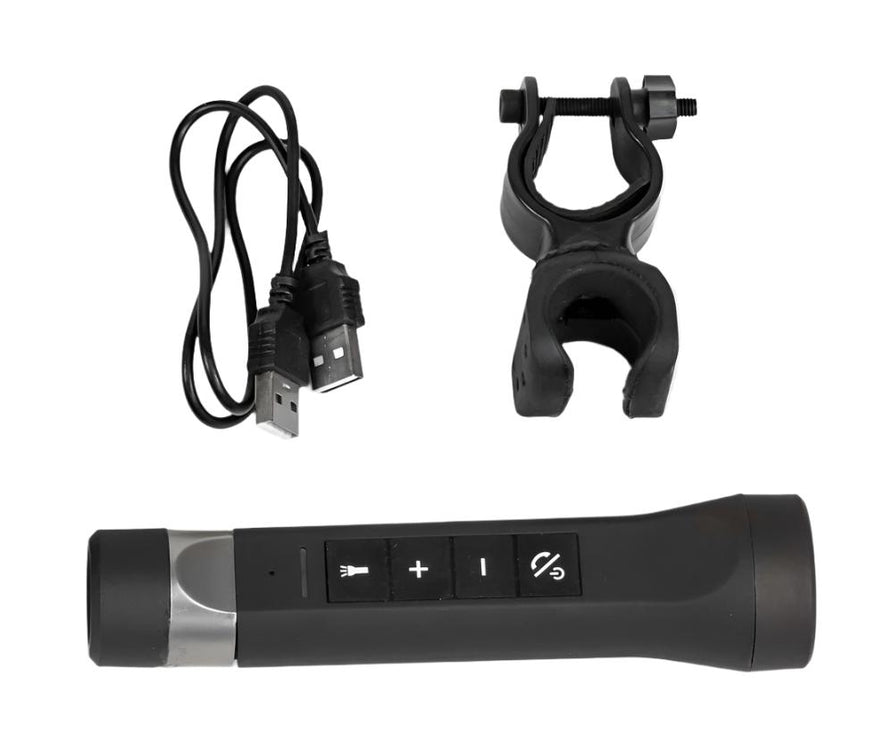 Multifunctional music torch