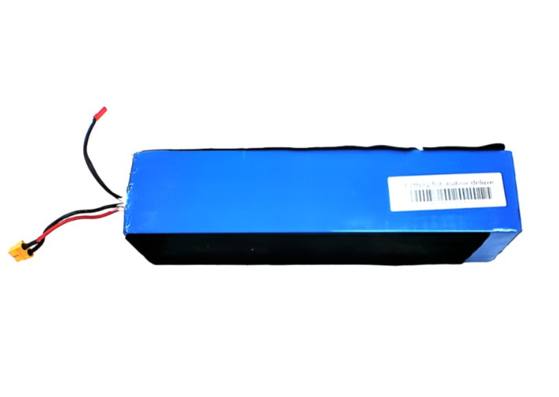 Battery for EscooterinaBox Deluxe (Used)