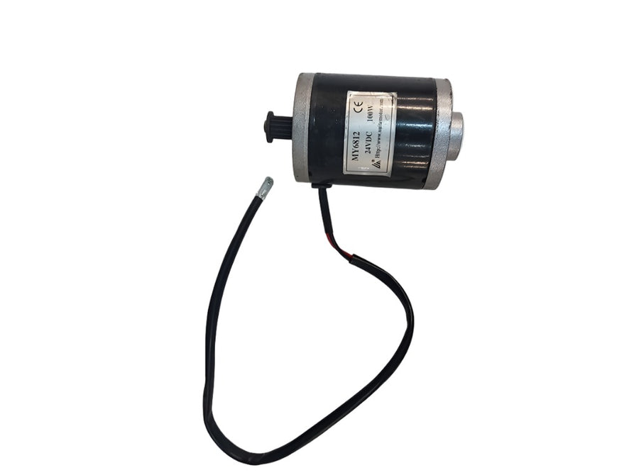 24V 100W brushed motor for Speed 1