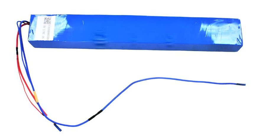 Lithium Battery 36V8AH for Tofino