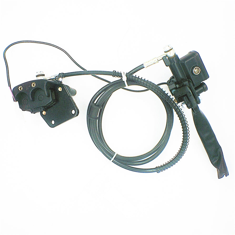 Vienna 72v Rear Brake Assembly