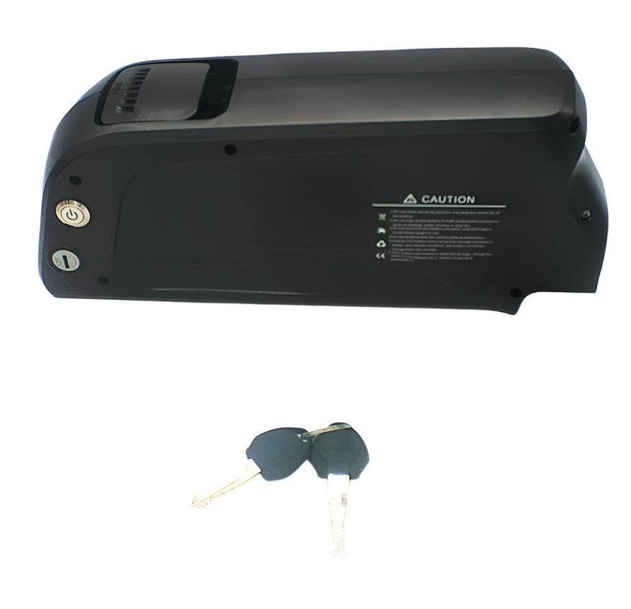 Lithium battery 48V10.4AH For Wildgoose