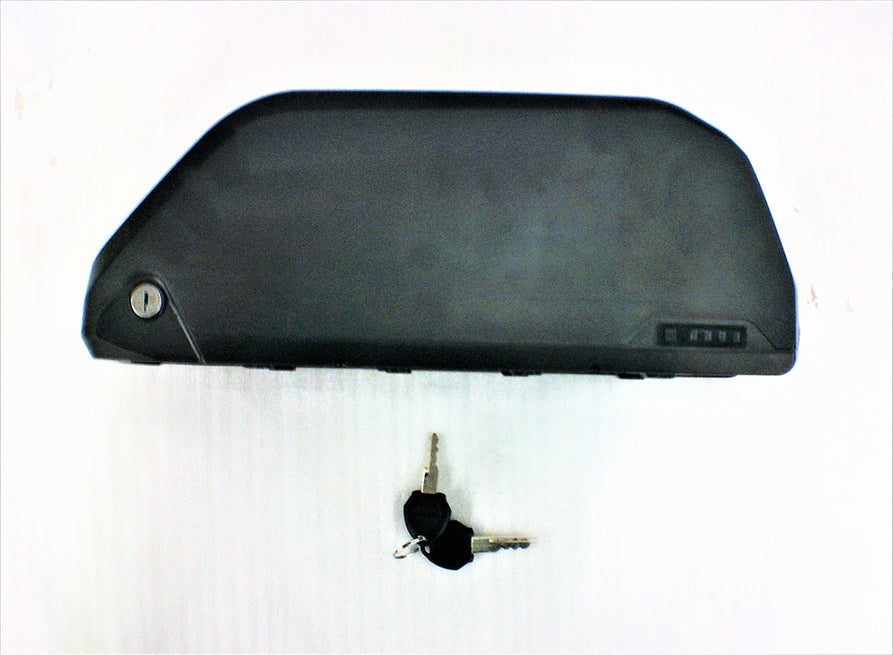 Lithium Battery 60v 12.5ah For Wildgoose 60V