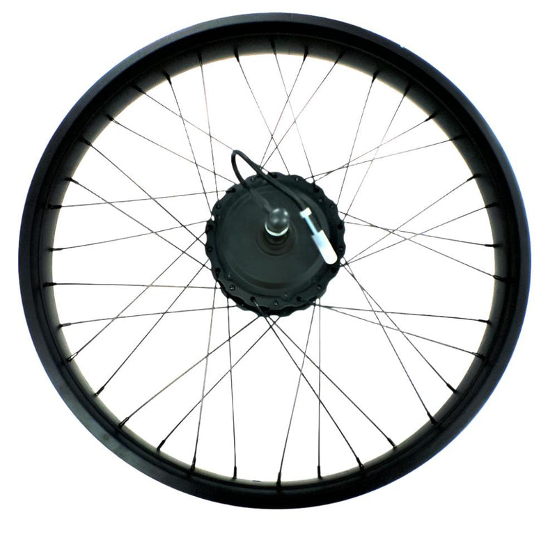 Rim & Motor Assembly For wildgoose 60V