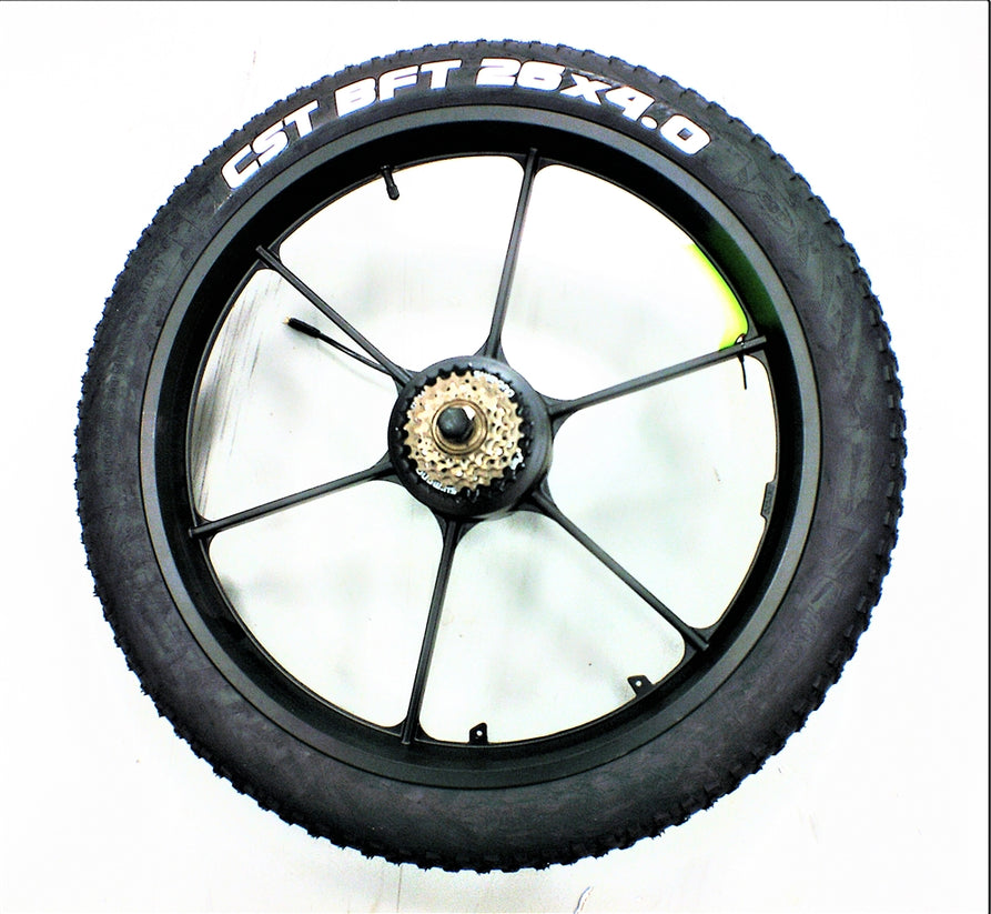 Rear Wheel Assembly with Motor For Wolf