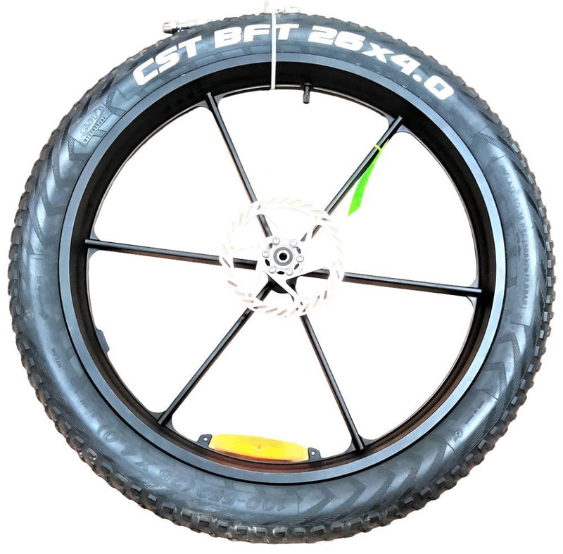 Wolf 48V Front wheel