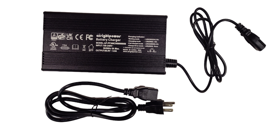 Charger 60v 5A LAB Intelligent Charger PC PLUG