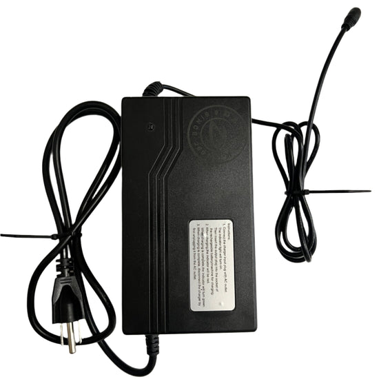 36V 4.0A Lithium Ion Charger 1 Pron