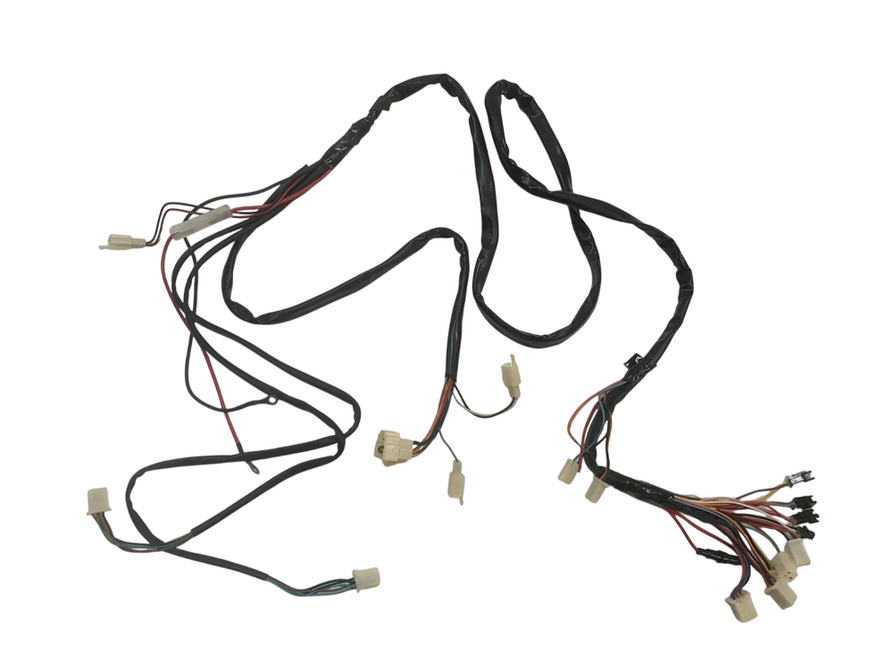 Wiring Harness for Chameleon - D