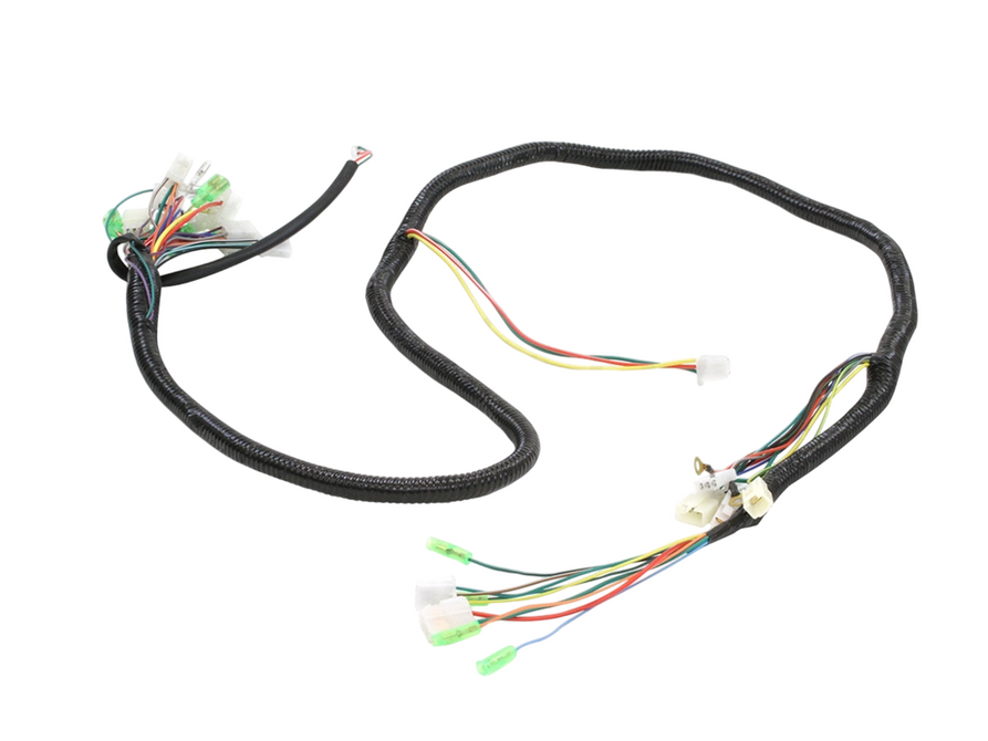 Wiring Harness for Gatto