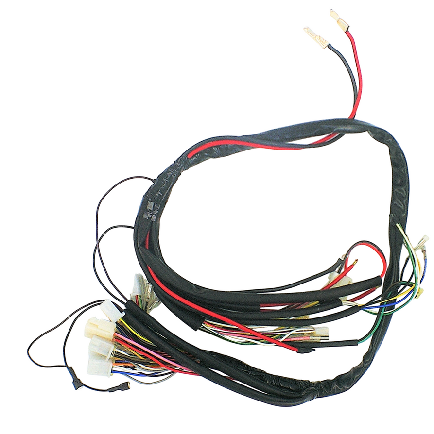 Wiring Harness for Rebel