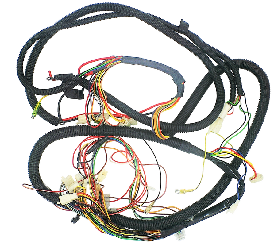 Wiring Harness for Rickshaw 48V