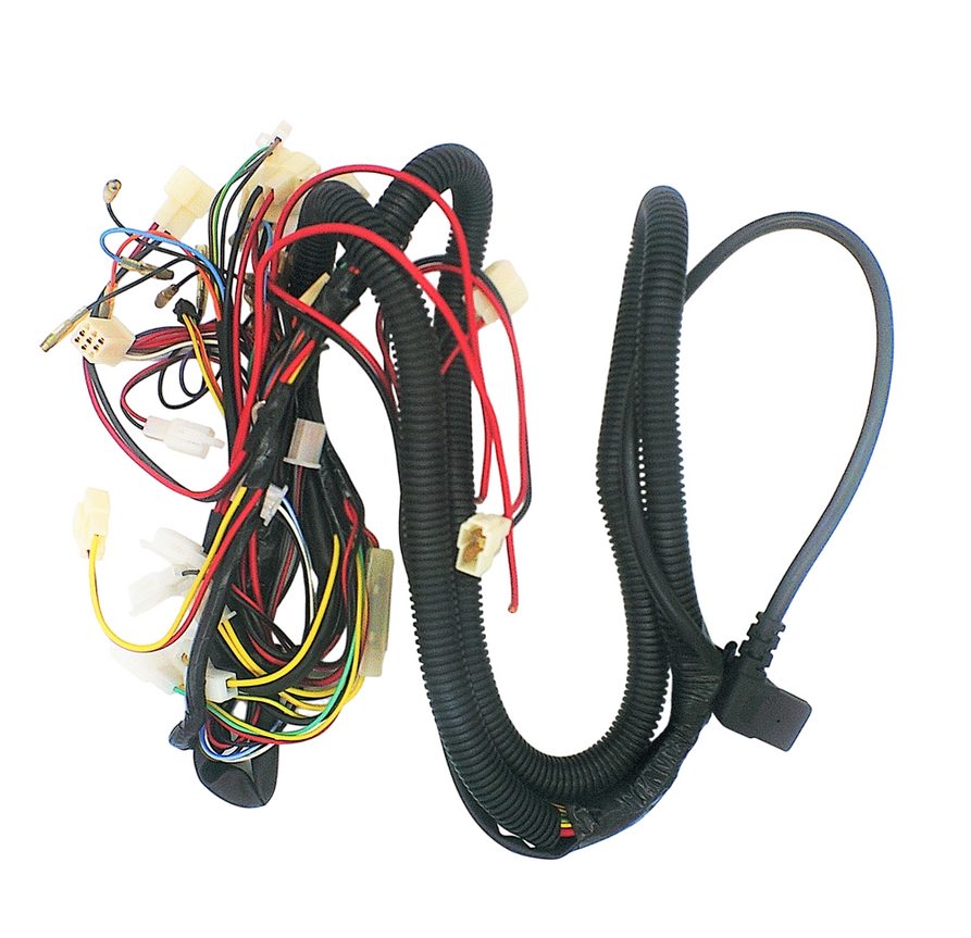 Wiring Harness for Sasquatch - B