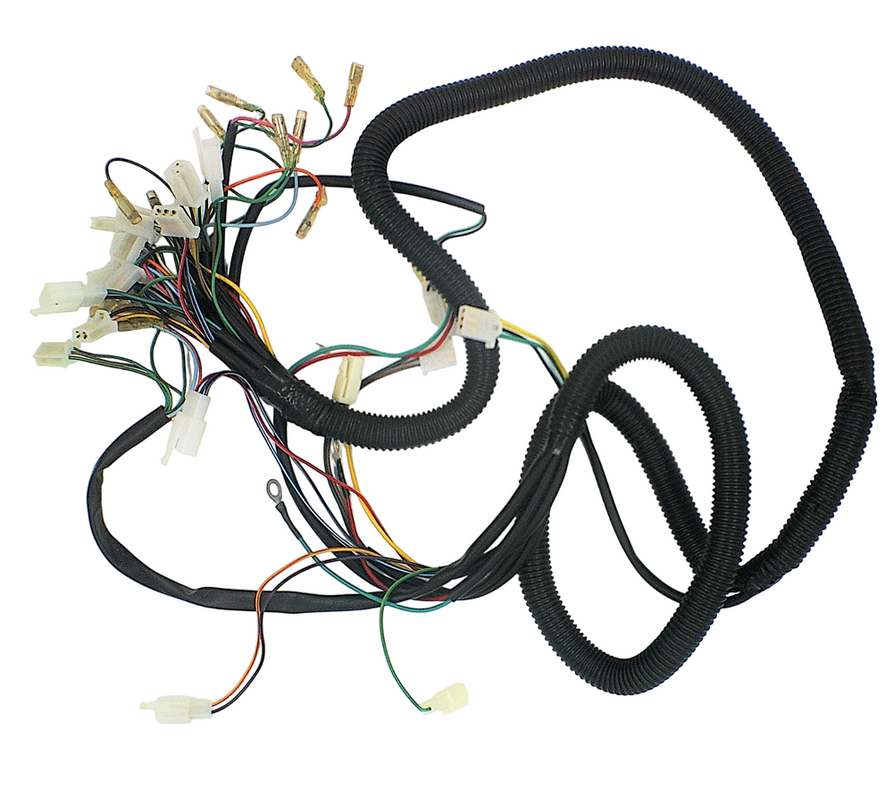 Wiring Harness for Torino - B