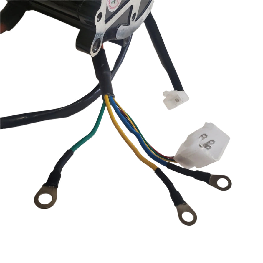 60V 1000W Motor for Boomerbuggy Cargo
