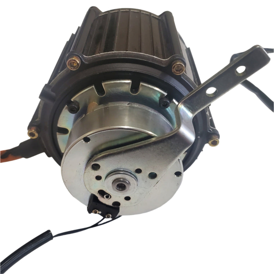 60V 1000W Motor for Boomerbuggy Cargo