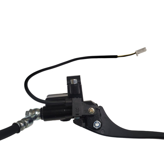 Front Brake Assembly for City Pulse 3