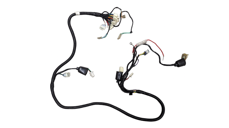 Wiring Harness for Beast 1.0