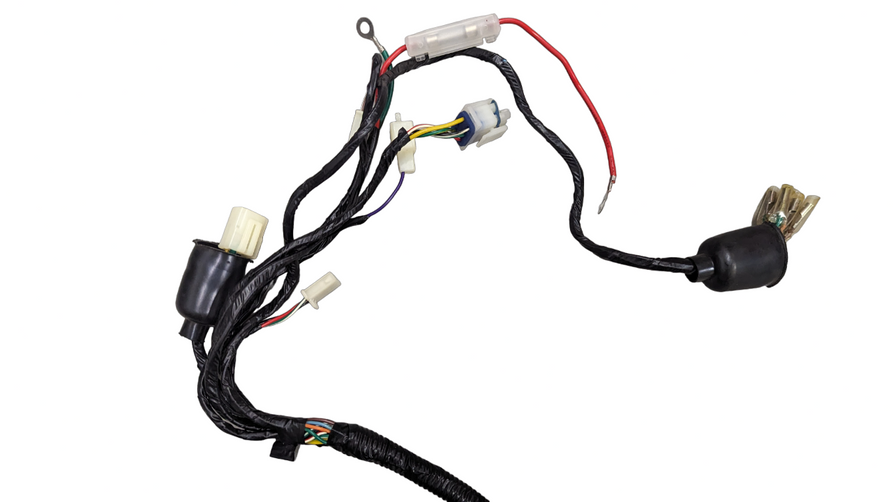 Wiring Harness for Beast 1.0