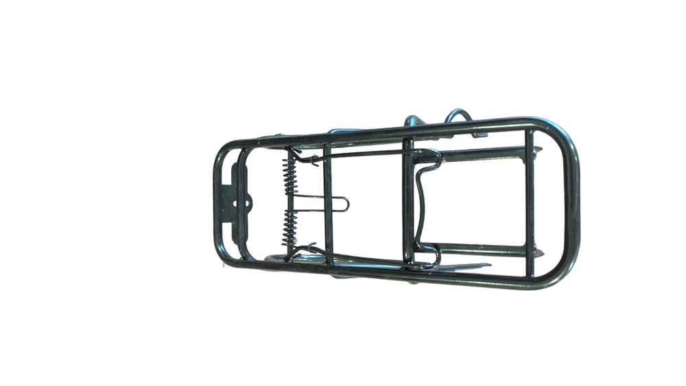 Paris Inox Bike Rack Rear Rack for Paris 48v Deluxe – Electric Parts Depot