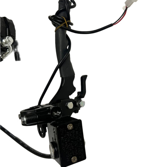 Rear Brake Assembly for BoomerBeast 2.0 (v3)