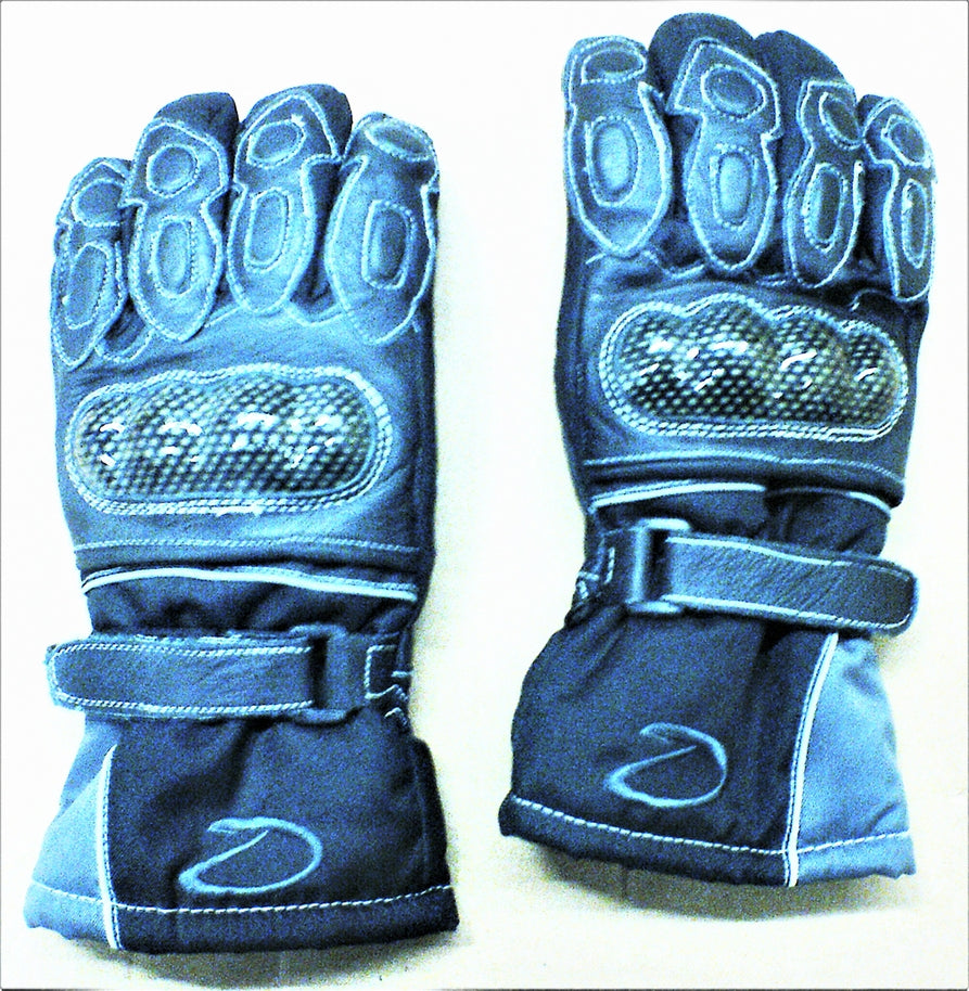 Winter gloves (L)