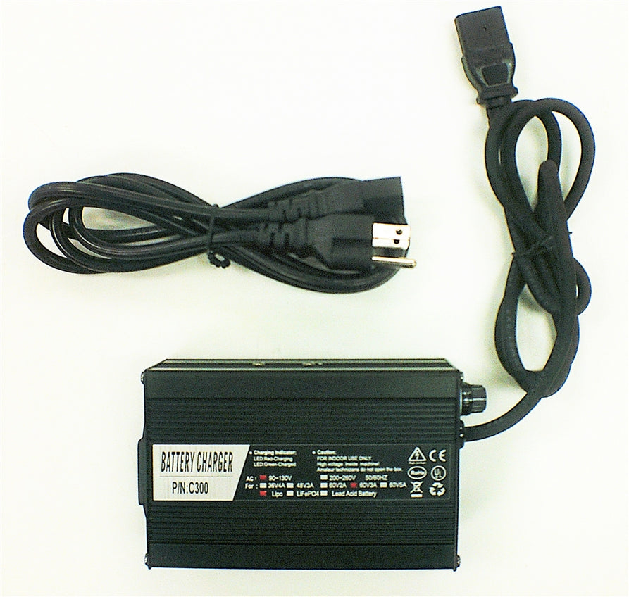 Charger 60v 5A Intelligent Charger PC PLUG