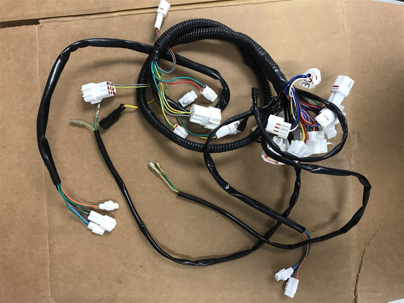 Wiring harness for beast AWD ATV deluxe
