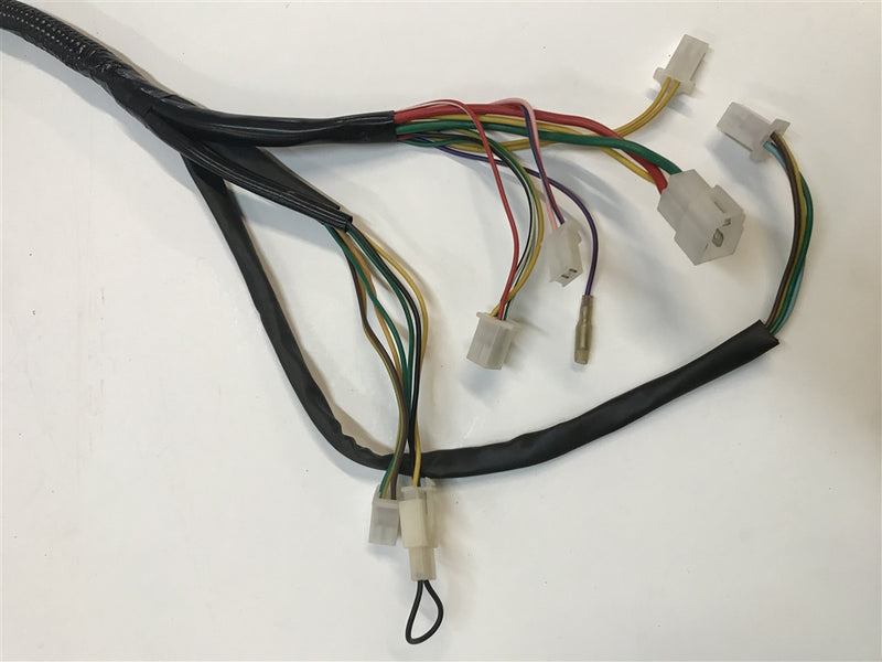 Wiring Harness for Chameleon - B