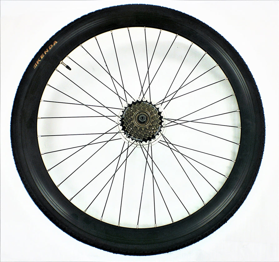 Rear wheel assembly for EC1 Standard