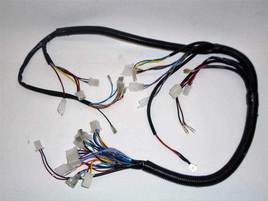 Wiring Harness for EM1