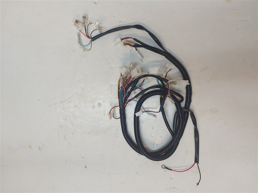 Wiring Harness for EM2